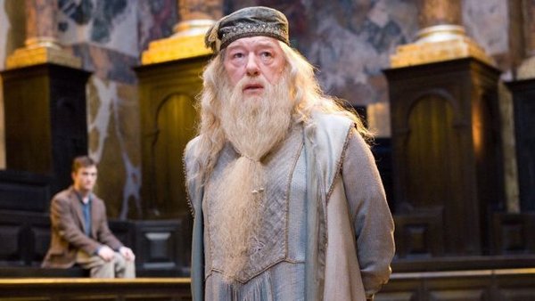 Harry Potter Albus Dumbledore Costume Chapeau