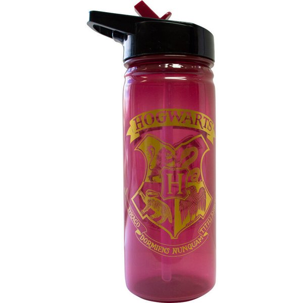 Harry Potter bouteille / gourde 600ml Poudlard/Hogwarts