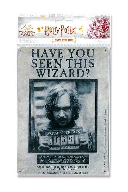 Harry Potter panneau métal Have You Seen This Wizard 15 x 21 cm